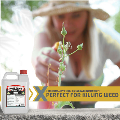 XCelerate Nutrition Distilled White Spirit Vinegar